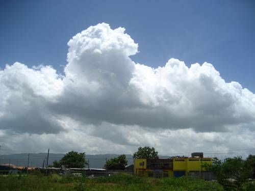 related picture