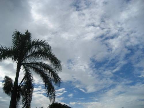 related picture