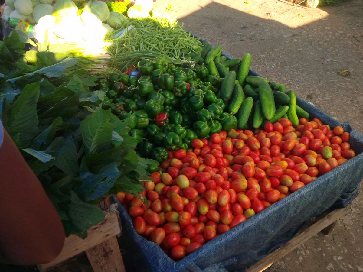 Tomato Cucumber and sweet pepper