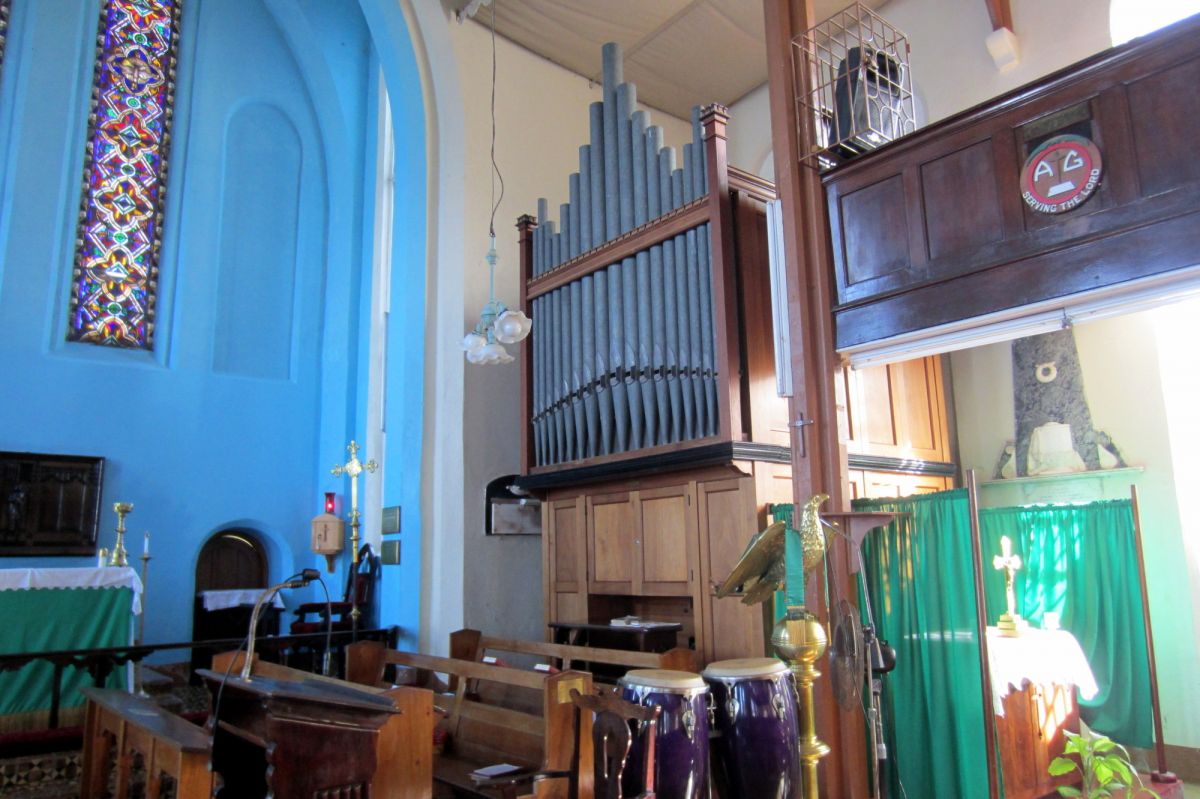 Organ