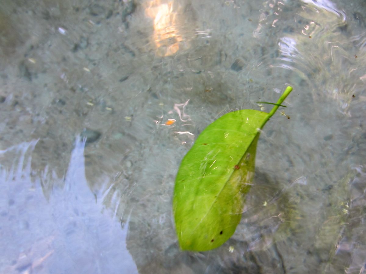related image