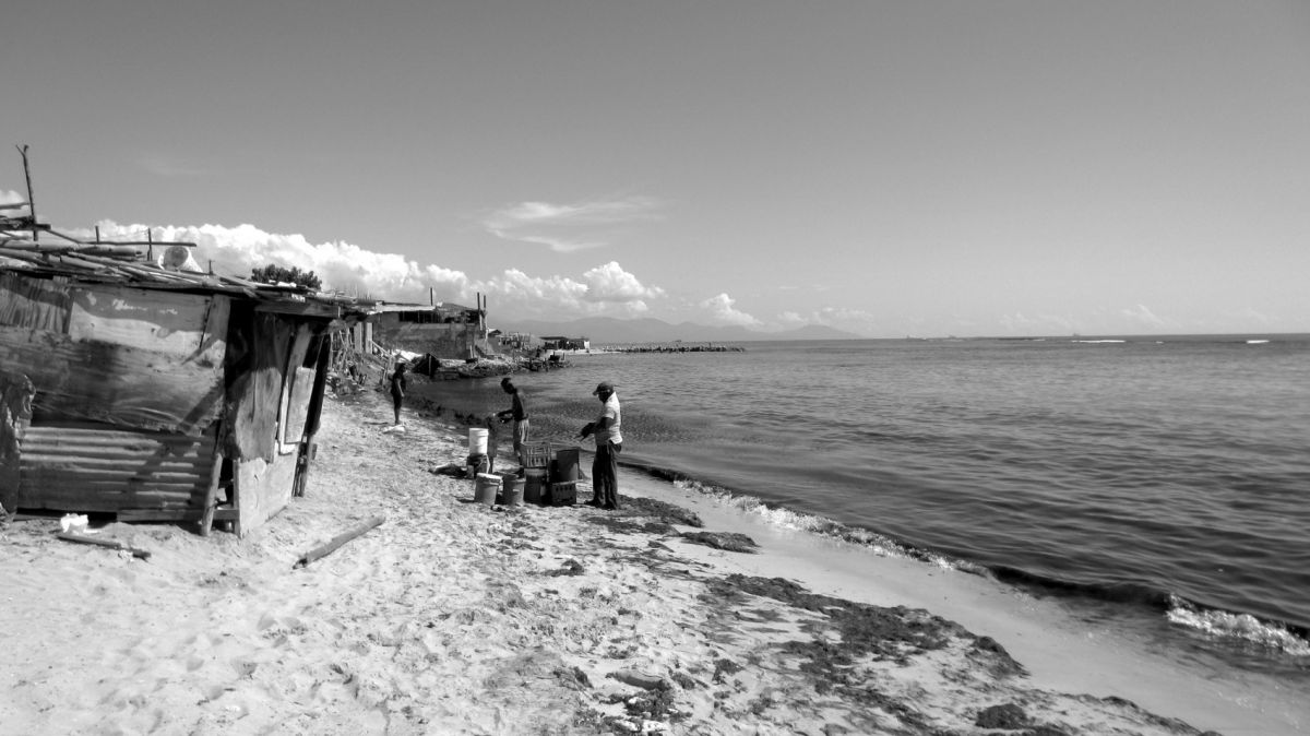 Men scaling fish in the morning