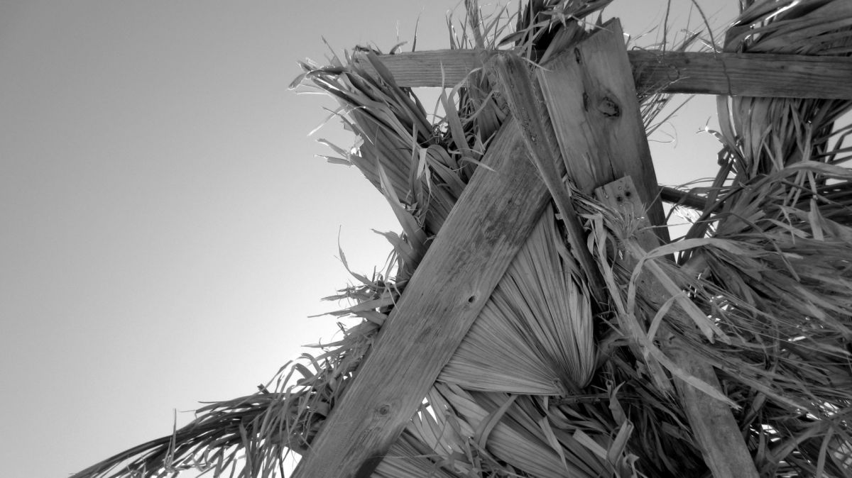 Thatch roof