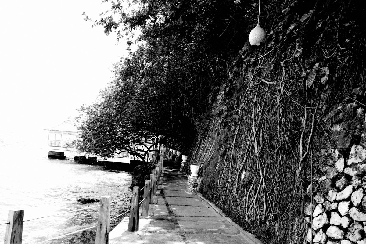 Vines growing up the side of the rocks along the path to the deck over the sea.