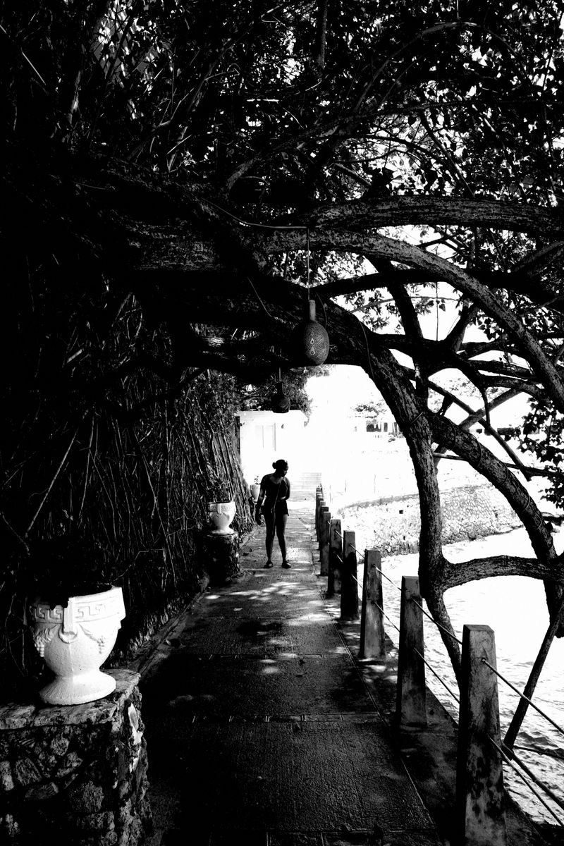 There is this little walk way that leads to the deck where they have dinner at the hotel.