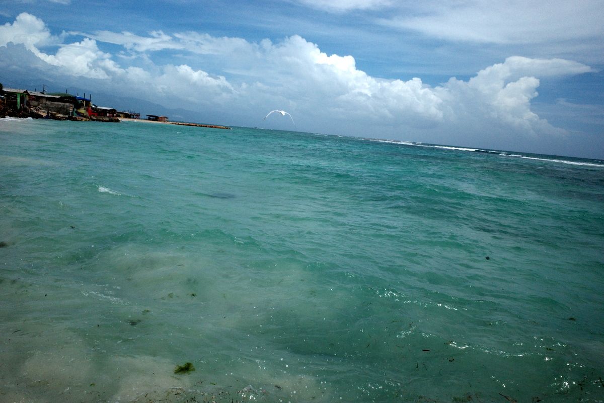 related image