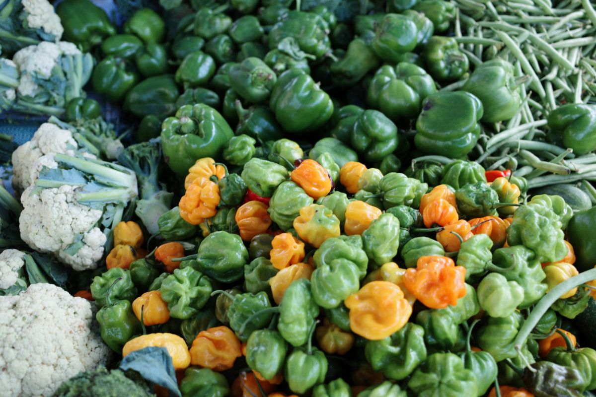 Scotch bonnet Peppers, Sweet Peppers towards the back.  String Beans top right.