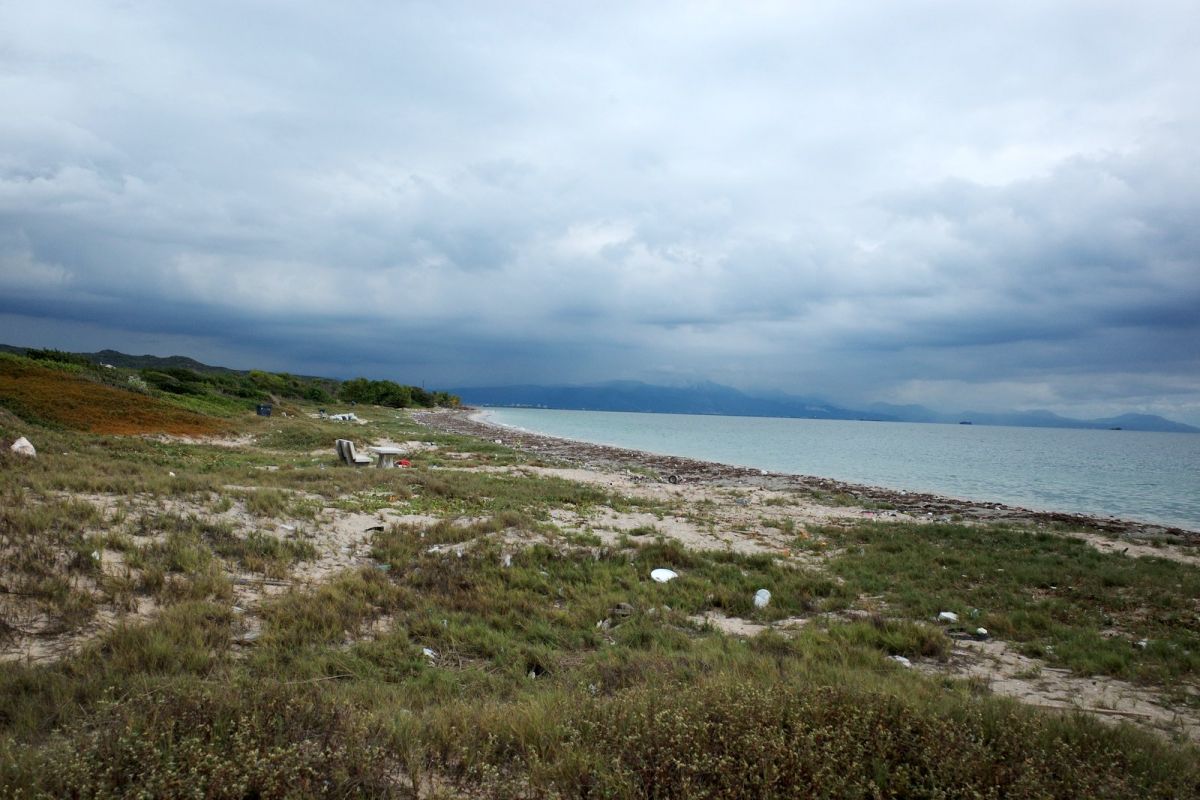 related image