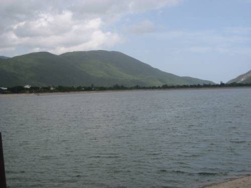 related image