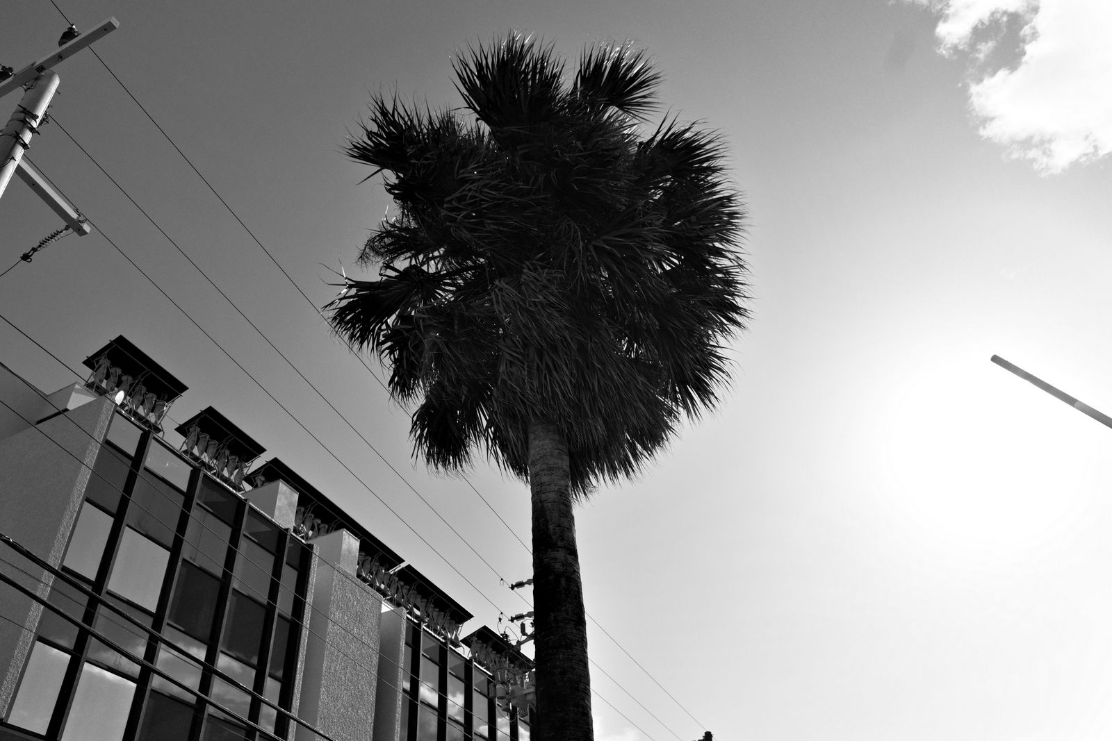 related image