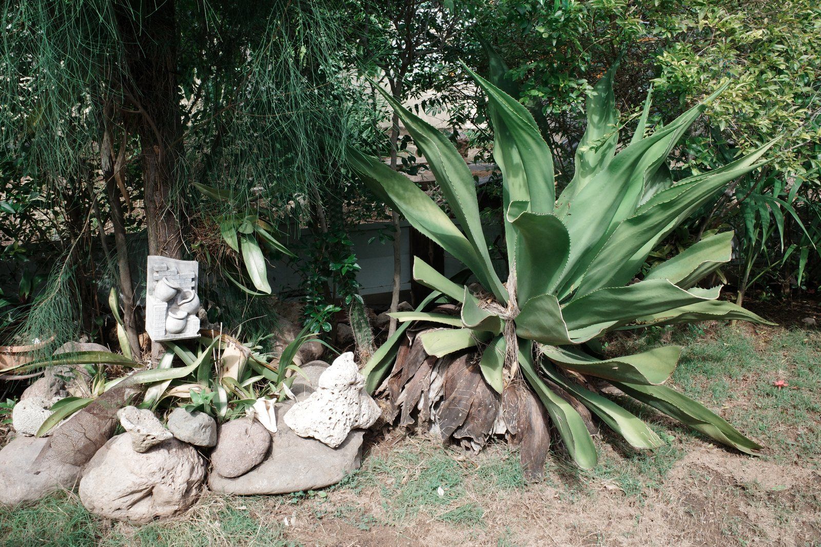 related image
