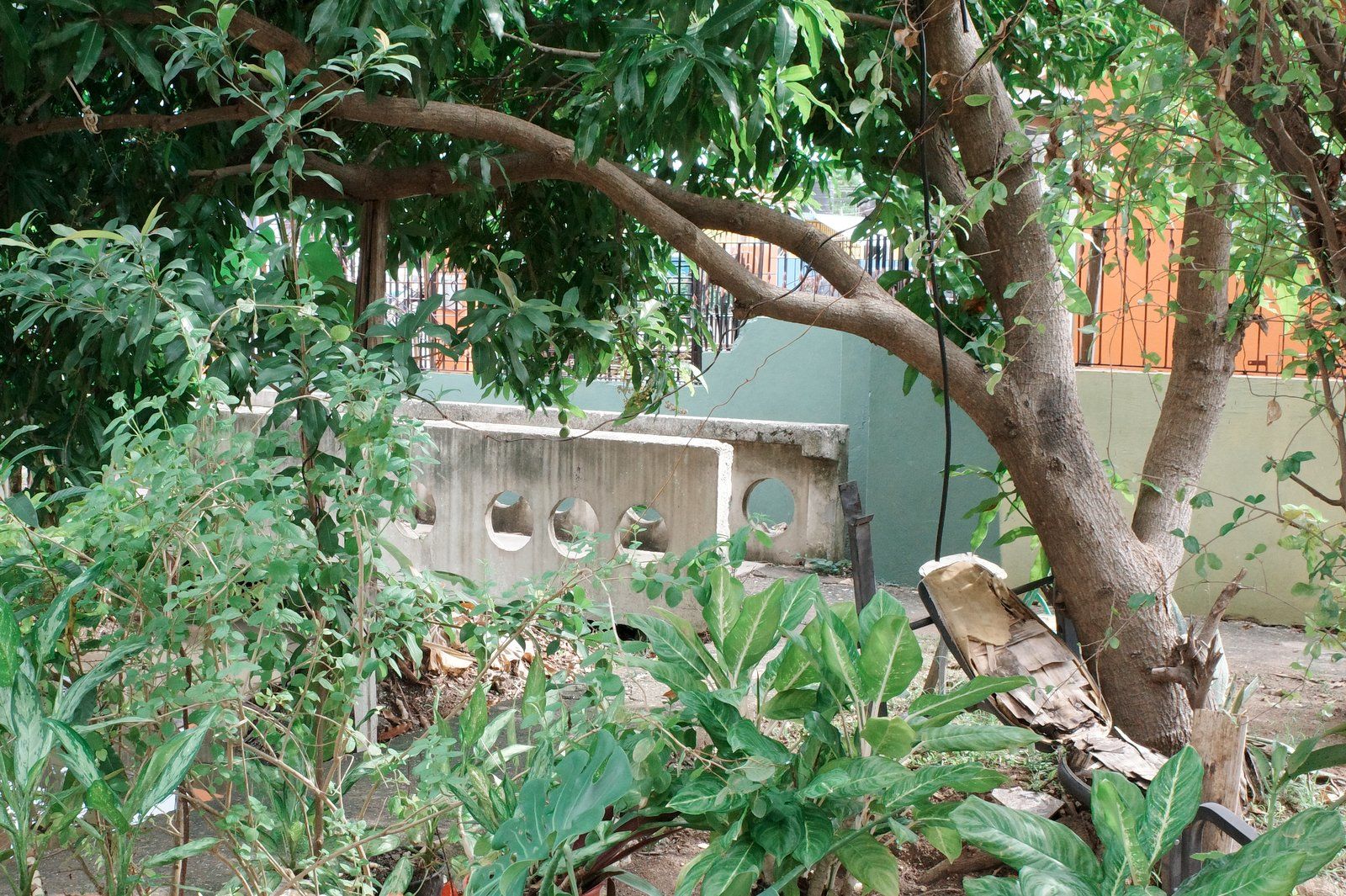 related image